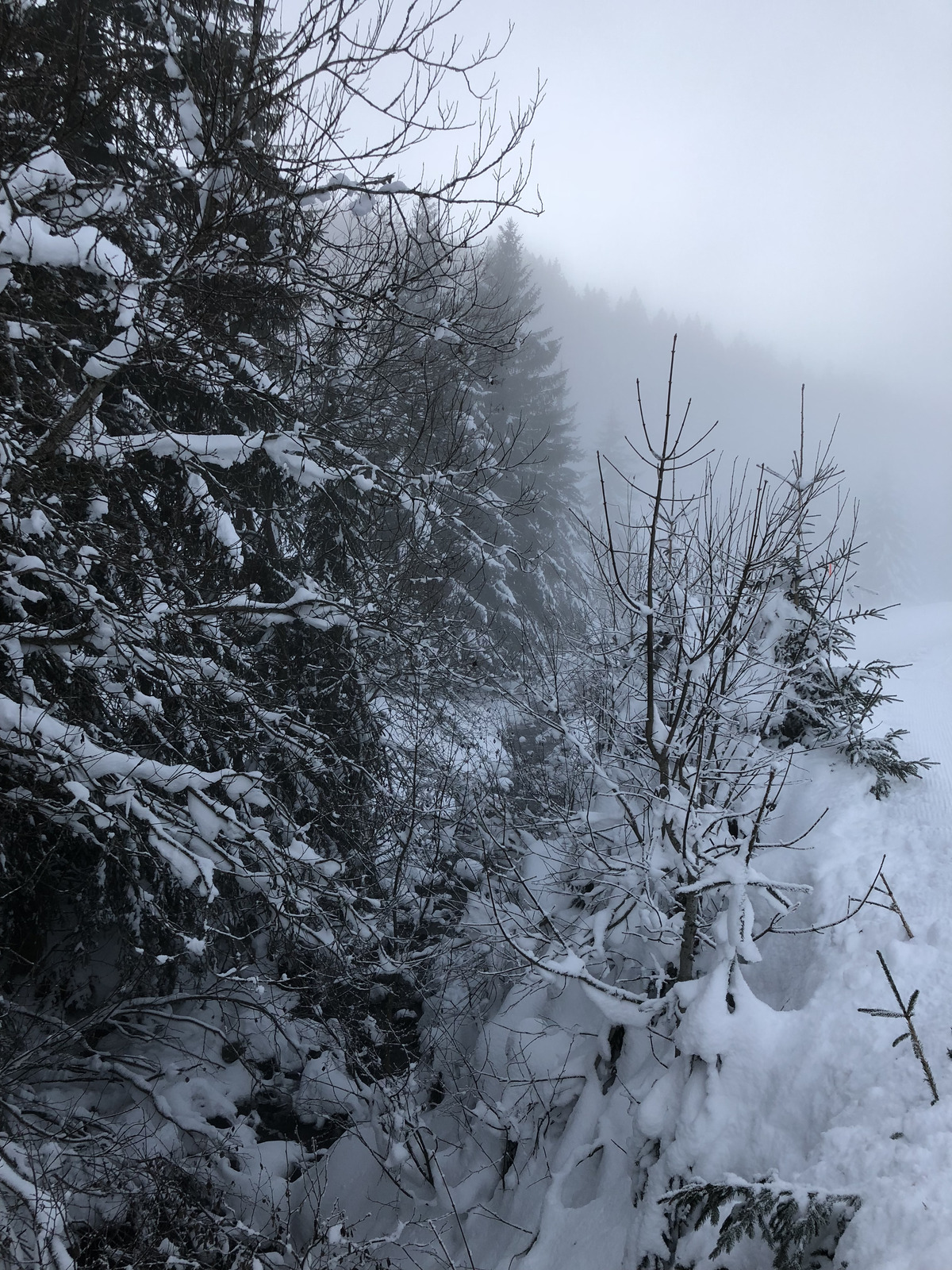 รูปถ่าย ฝรั่งเศส(France) ลากลูซา(La Clusaz) 2017-12 181