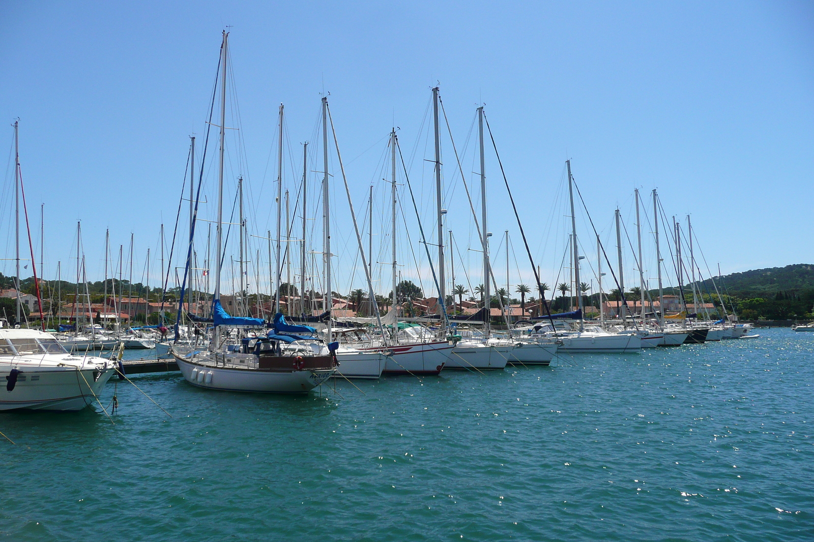 รูปถ่าย ฝรั่งเศส(France) เกาะปอร์เกอรอล(Porquerolles Island) ท่าเรือปอร์เกอรอล(Porquerolles harbour) 2008-05 29