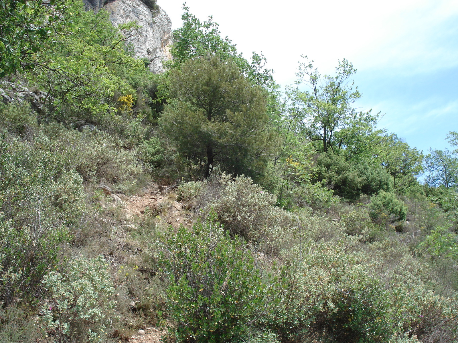รูปถ่าย ฝรั่งเศส(France) วังซ์(Vence) บาอู(Baou) 2006-06 86