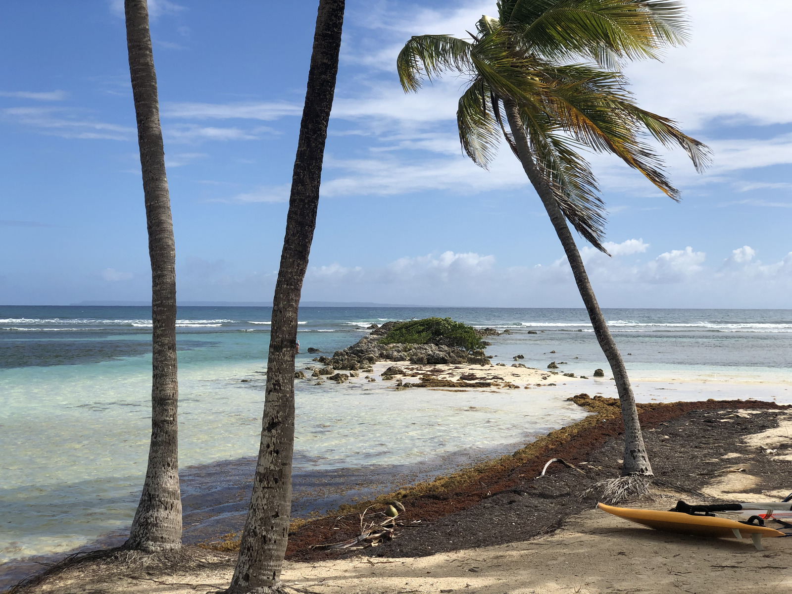 รูปถ่าย กวาเดอลูป(Guadeloupe) หาดลาการาแวล(La Caravelle Beach) 2021-02 104