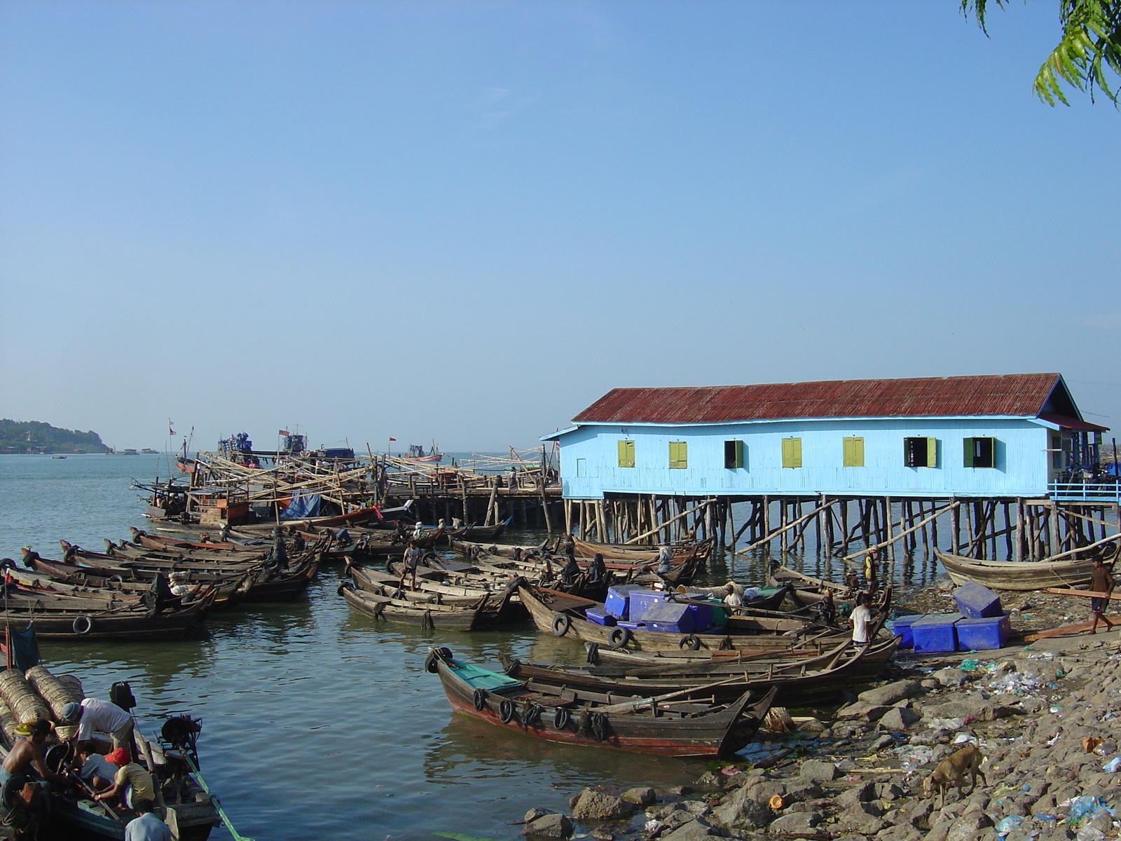 รูปถ่าย พม่า(Myanmar) มะริด(Myeik (Mergui)) 2005-01 67