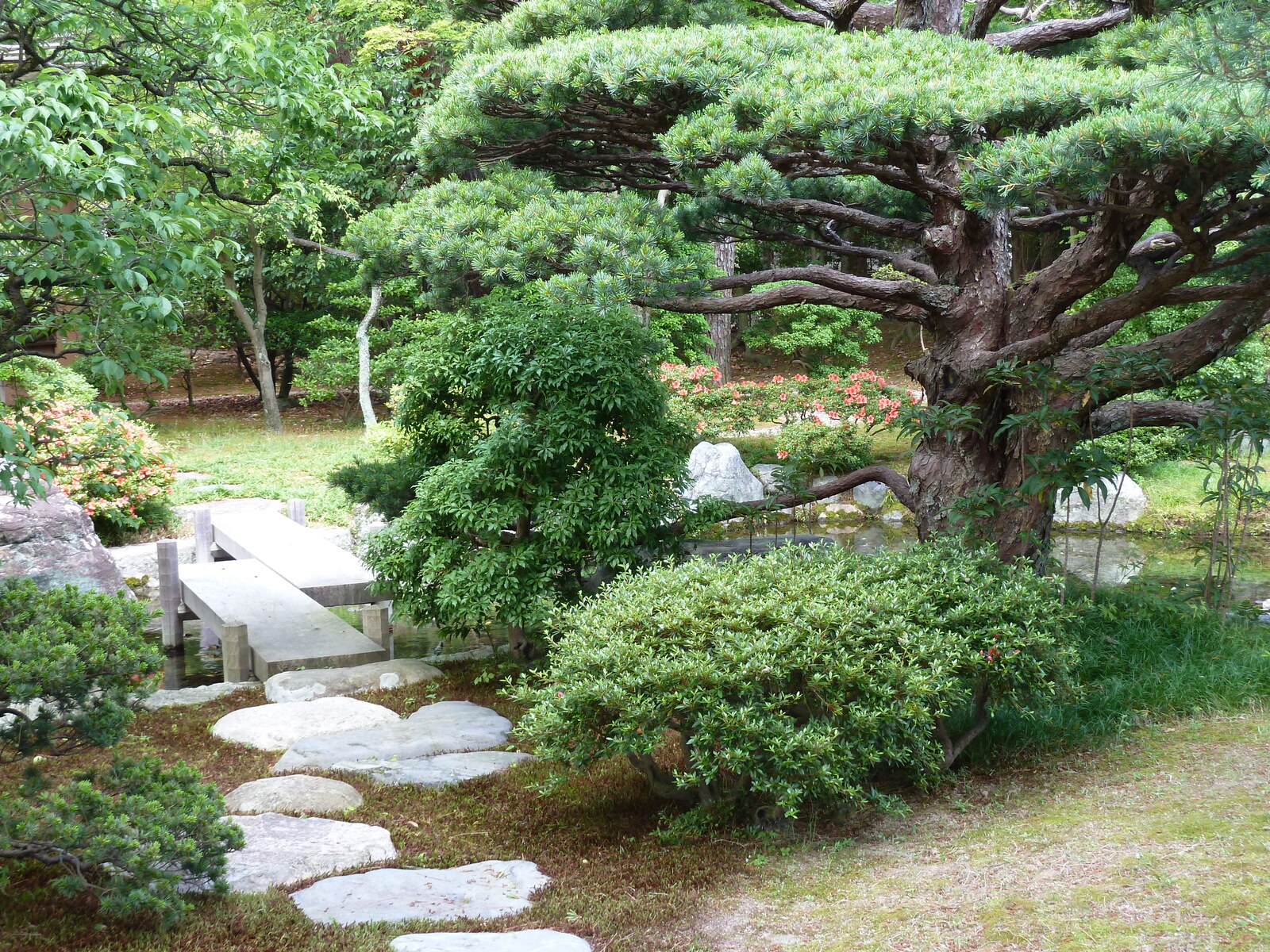 รูปถ่าย ญี่ปุ่น(Japan) เกียวโต(Kyoto) พระราชวังหลวงเกียวโต(Kyoto Imperial Palace) 2010-06 111