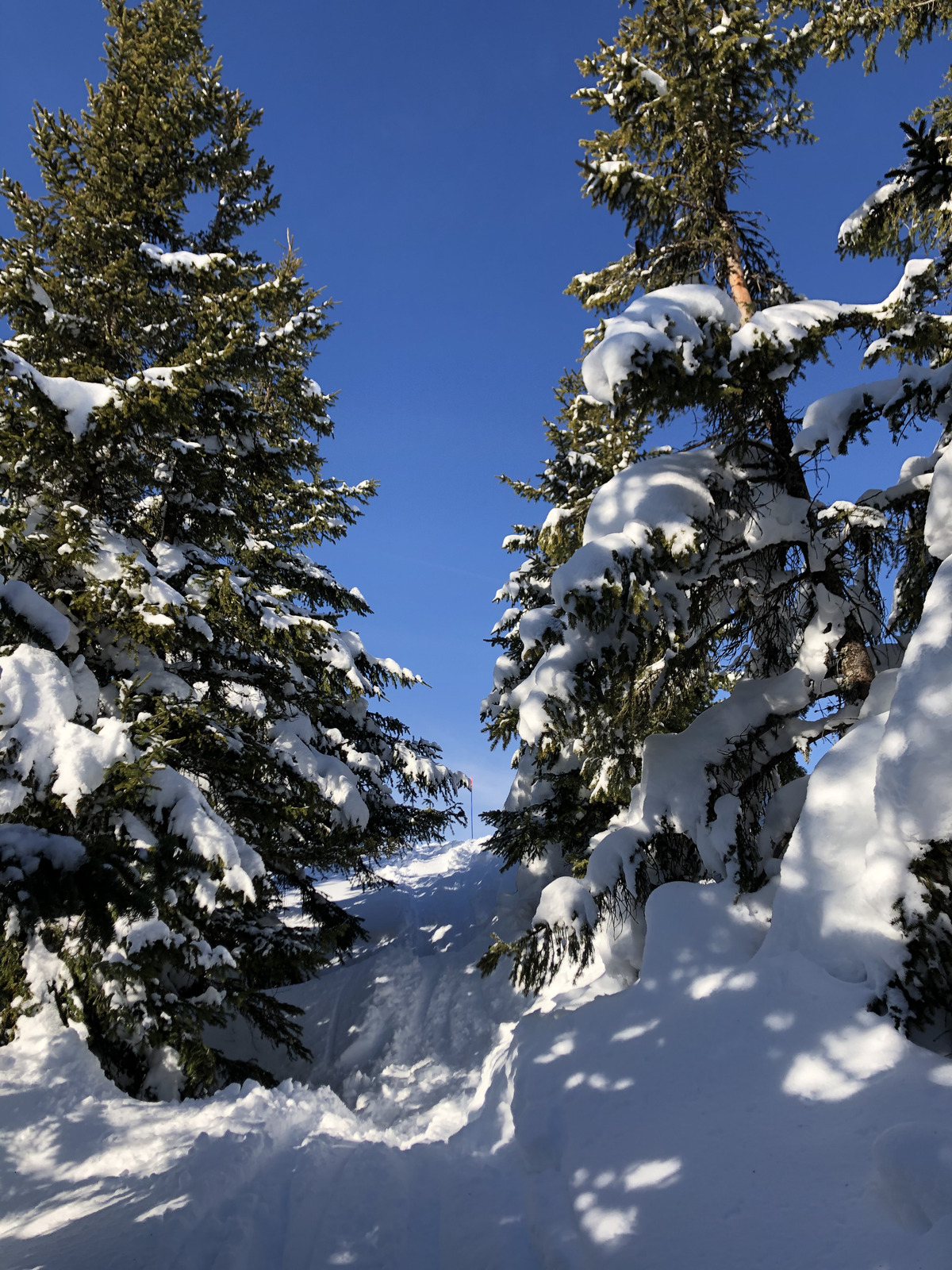 รูปถ่าย ฝรั่งเศส(France) ปรา-ซูร์-อาร์ลี(Praz sur Arly) 2019-12 358