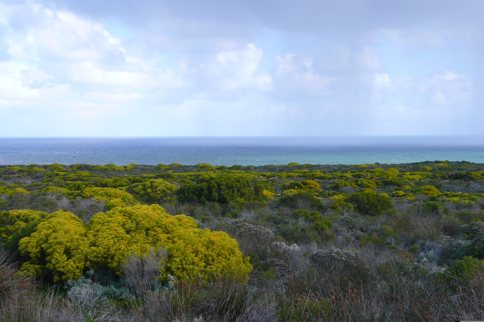รูปถ่าย แอฟริกาใต้(South Africa) แหลมกู๊ดโฮป(Cape of Good Hope) แหลมเคปพอยต์(Cape Point) 2008-09 0