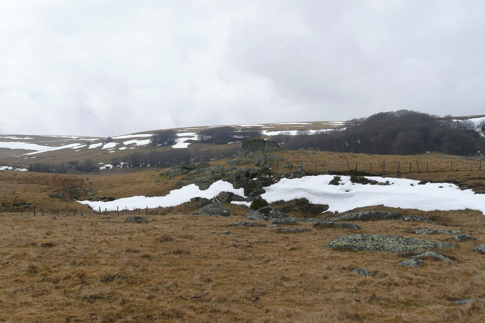รูปถ่าย ฝรั่งเศส(France) โอบรัก(L'Aubrac) 2008-04 15