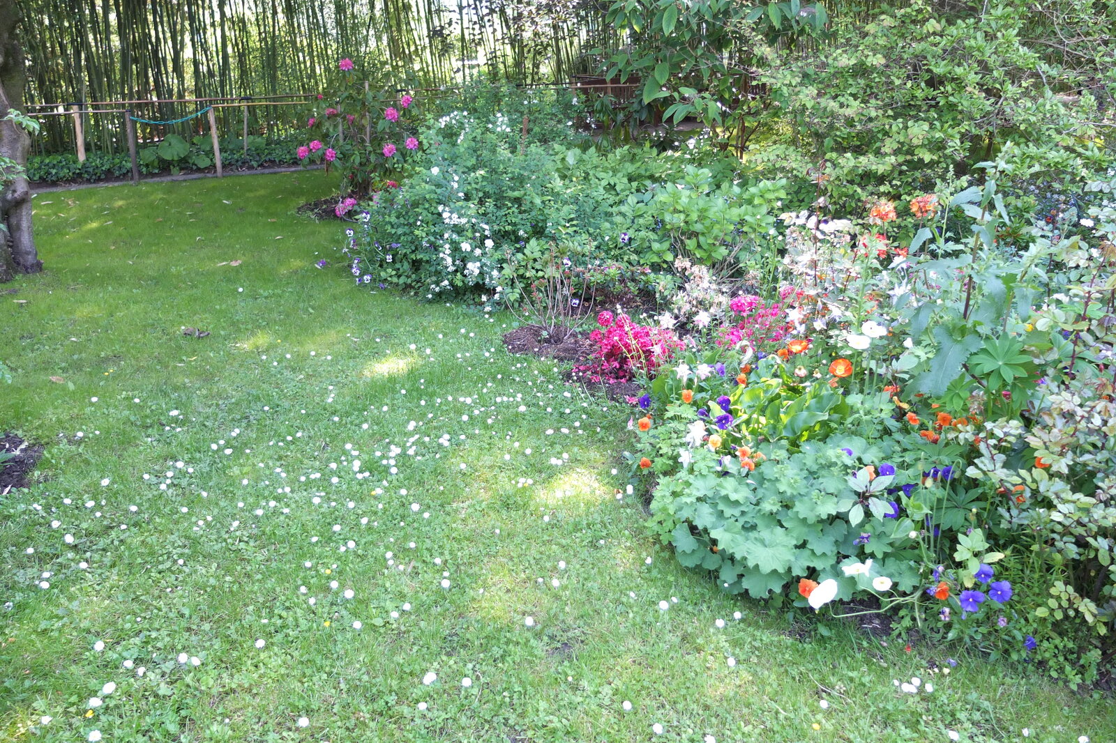 รูปถ่าย ฝรั่งเศส(France) ฌีแวร์นี(Giverny) 2013-06 105
