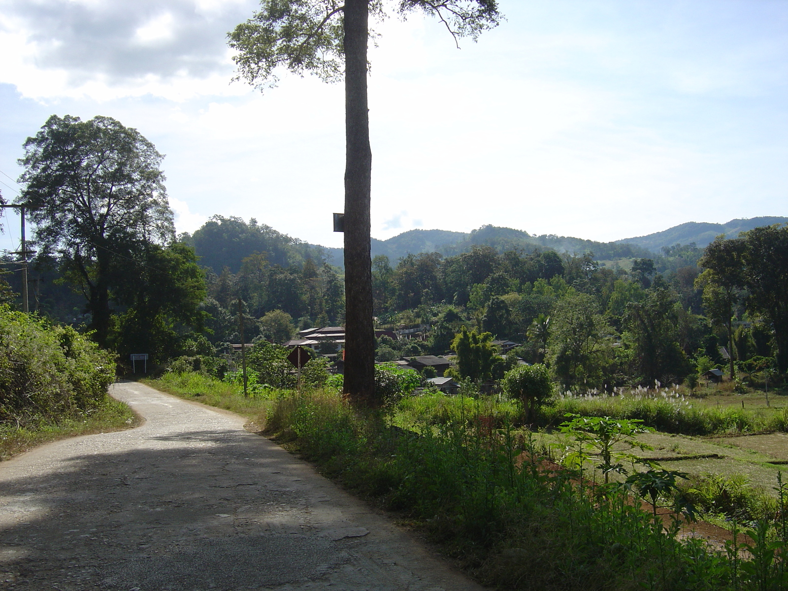 รูปถ่าย ไทย(Thailand) ปางมะผ้า(Pang Mapha) 2005-12 14