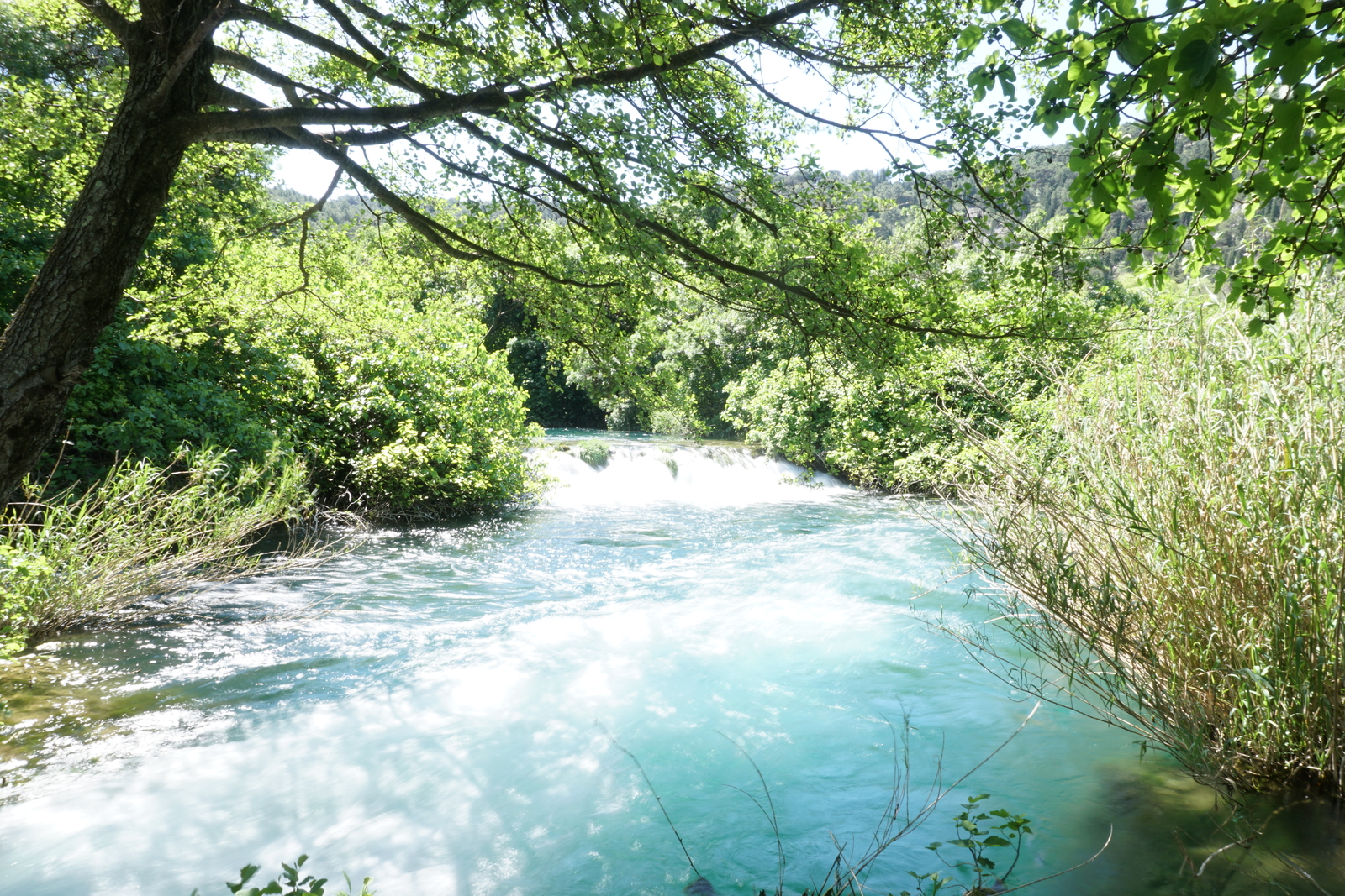 รูปถ่าย โครเอเชีย(Croatia) อุทยานแห่งชาติเคอร์คา(Krka National Park) 2016-04 127