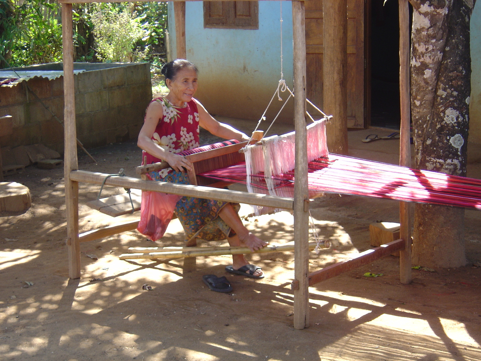 รูปถ่าย ไทย(Thailand) ปางมะผ้า(Pang Mapha) 2005-12 22