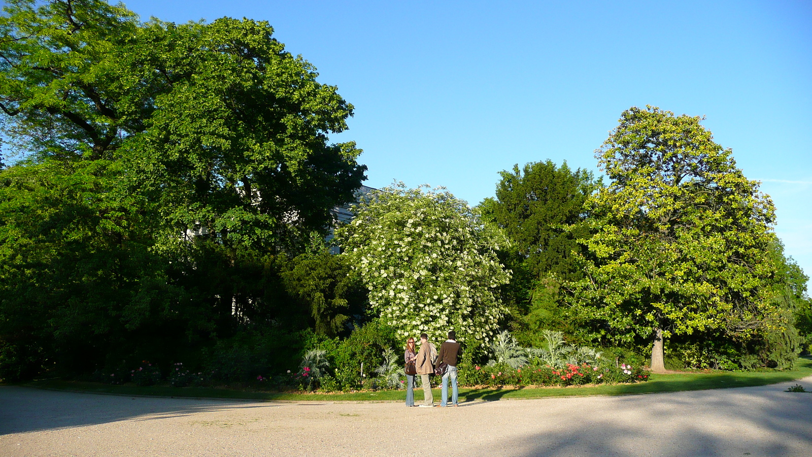 รูปถ่าย ฝรั่งเศส(France) ปารีส(Paris) ช็องเซลีเซ(Champs Elysees) 2007-04 112