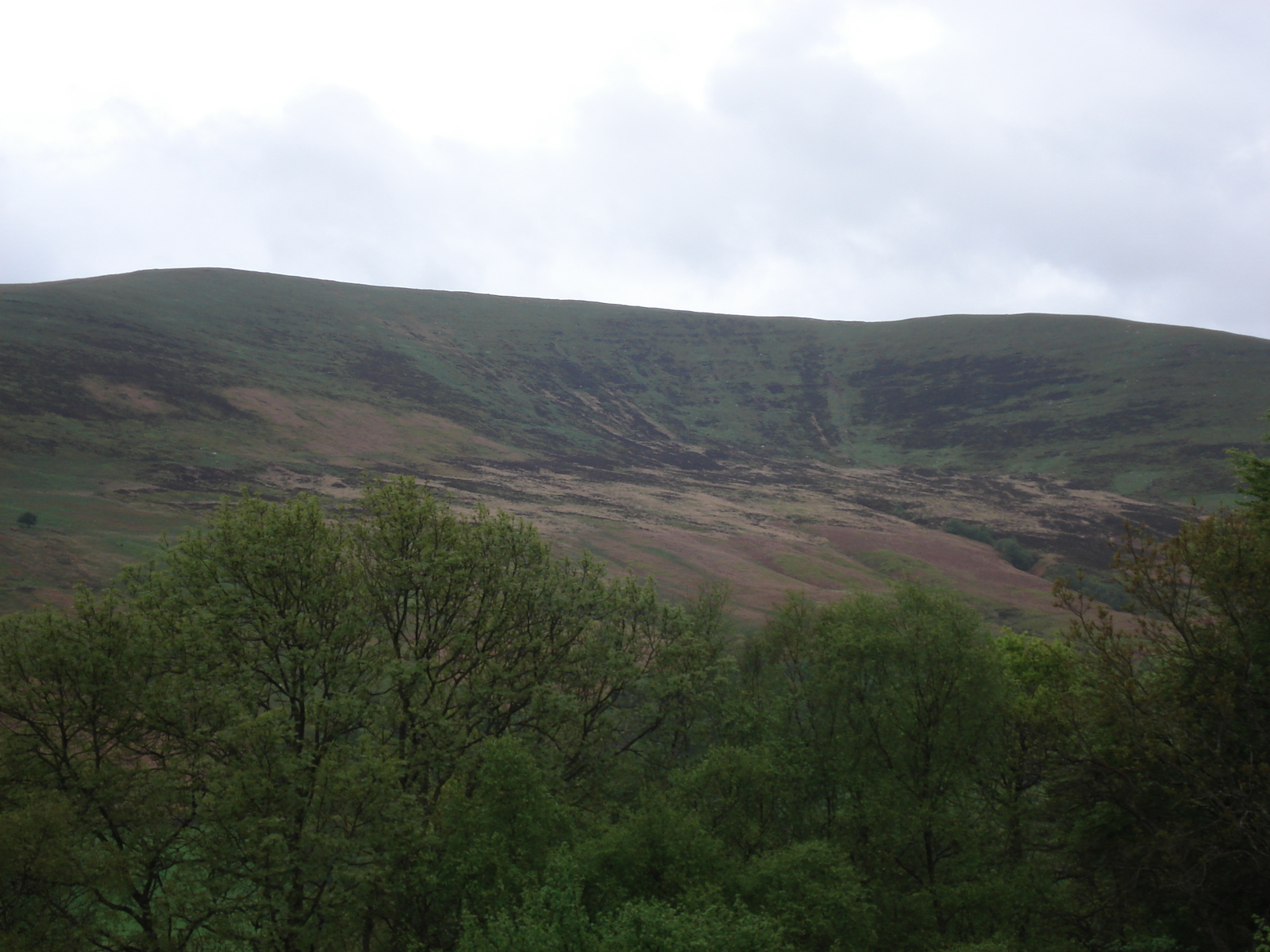 รูปถ่าย อังกฤษ(United Kingdom) อุทยานแห่งชาติเบรคอนบีคอนส์(Brecon Beacons National Park) 2006-05 104