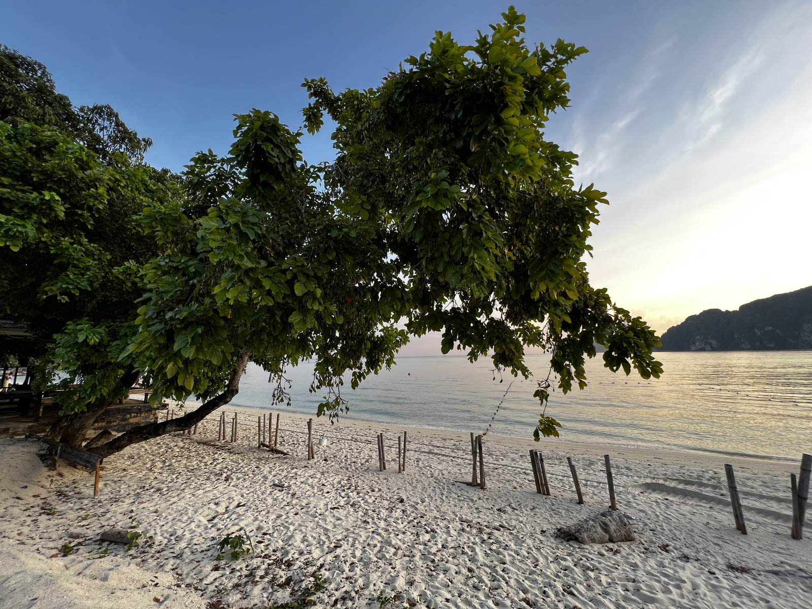 รูปถ่าย ไทย(Thailand) เกาะพีพีดอน(Ko Phi Phi Don) 2021-12 193