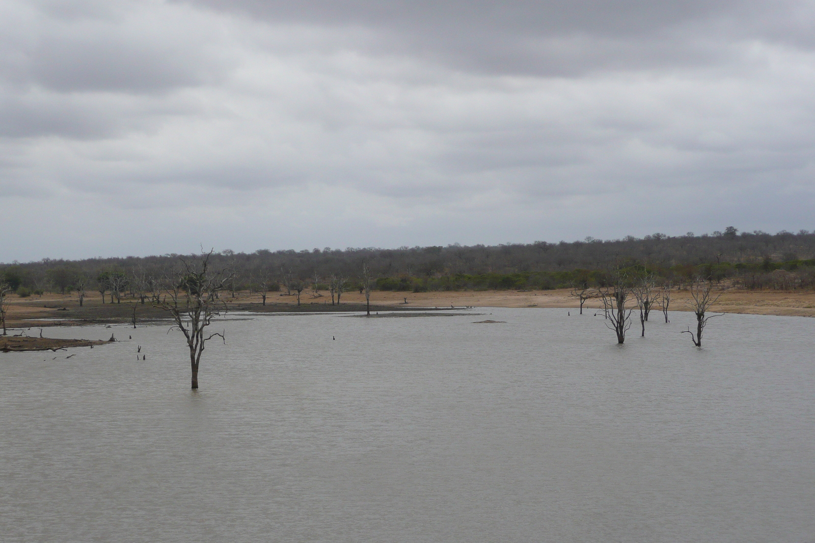 รูปถ่าย แอฟริกาใต้(South Africa) อุทยานแห่งชาติครูเกอร์(Kruger National Park) มปอนโด(Mpondo) 2008-09 8