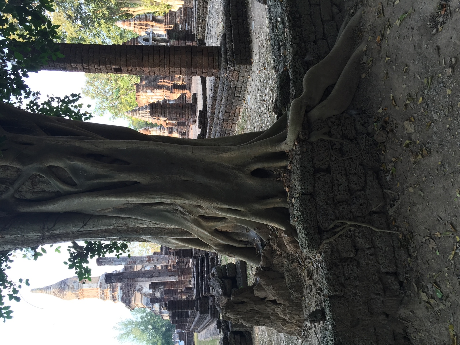 รูปถ่าย ไทย(Thailand) อุทยานประวัติศาสตร์ศรีสัชนาลัย(Si satchanalai historical park) 2014-12 124