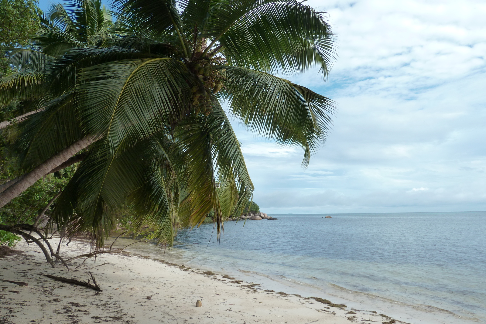 รูปถ่าย เซเชลส์(Seychelles) เกาะปราลิน(Praslin) 2011-10 6