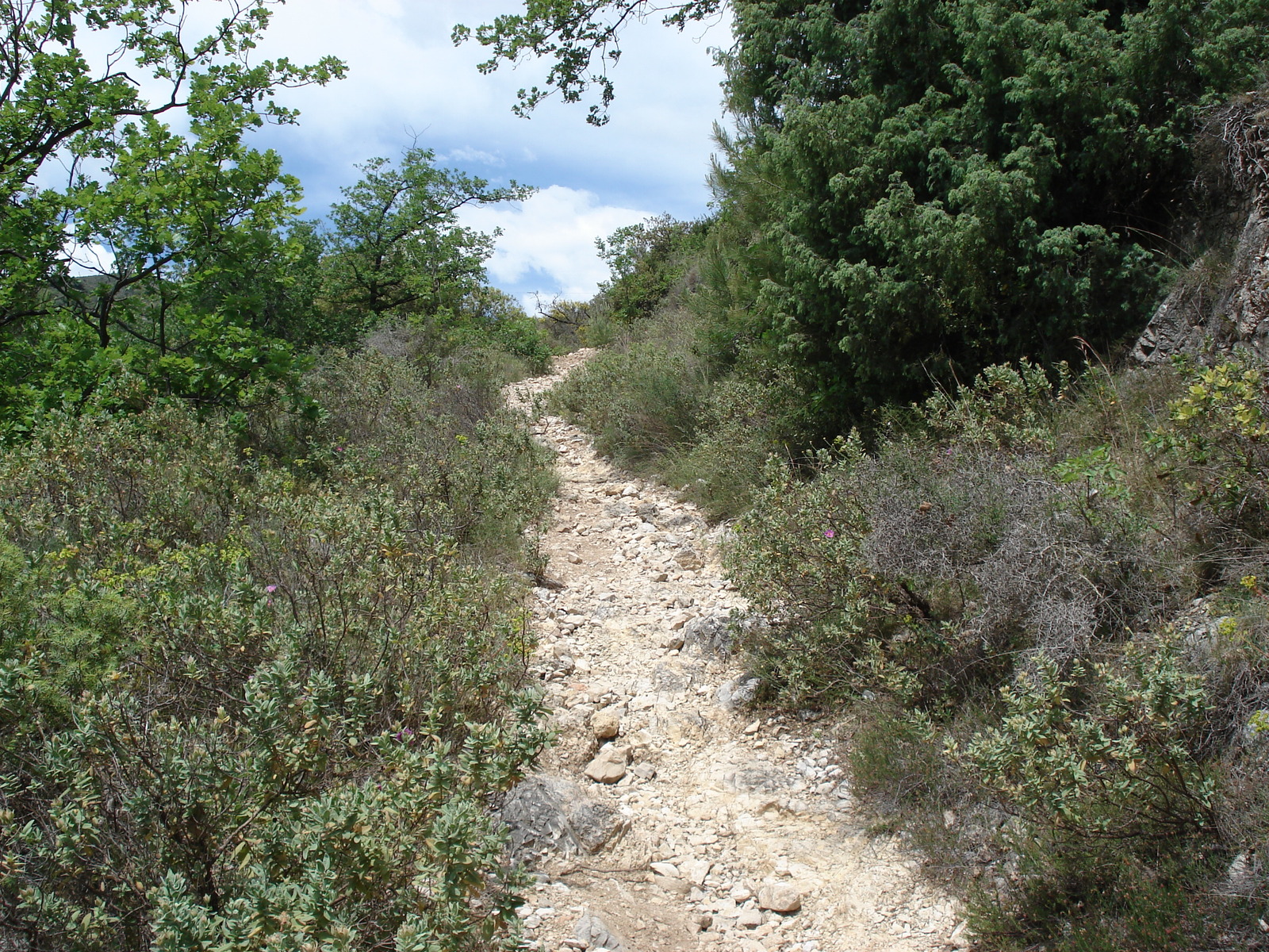 รูปถ่าย ฝรั่งเศส(France) วังซ์(Vence) บาอู(Baou) 2006-06 96