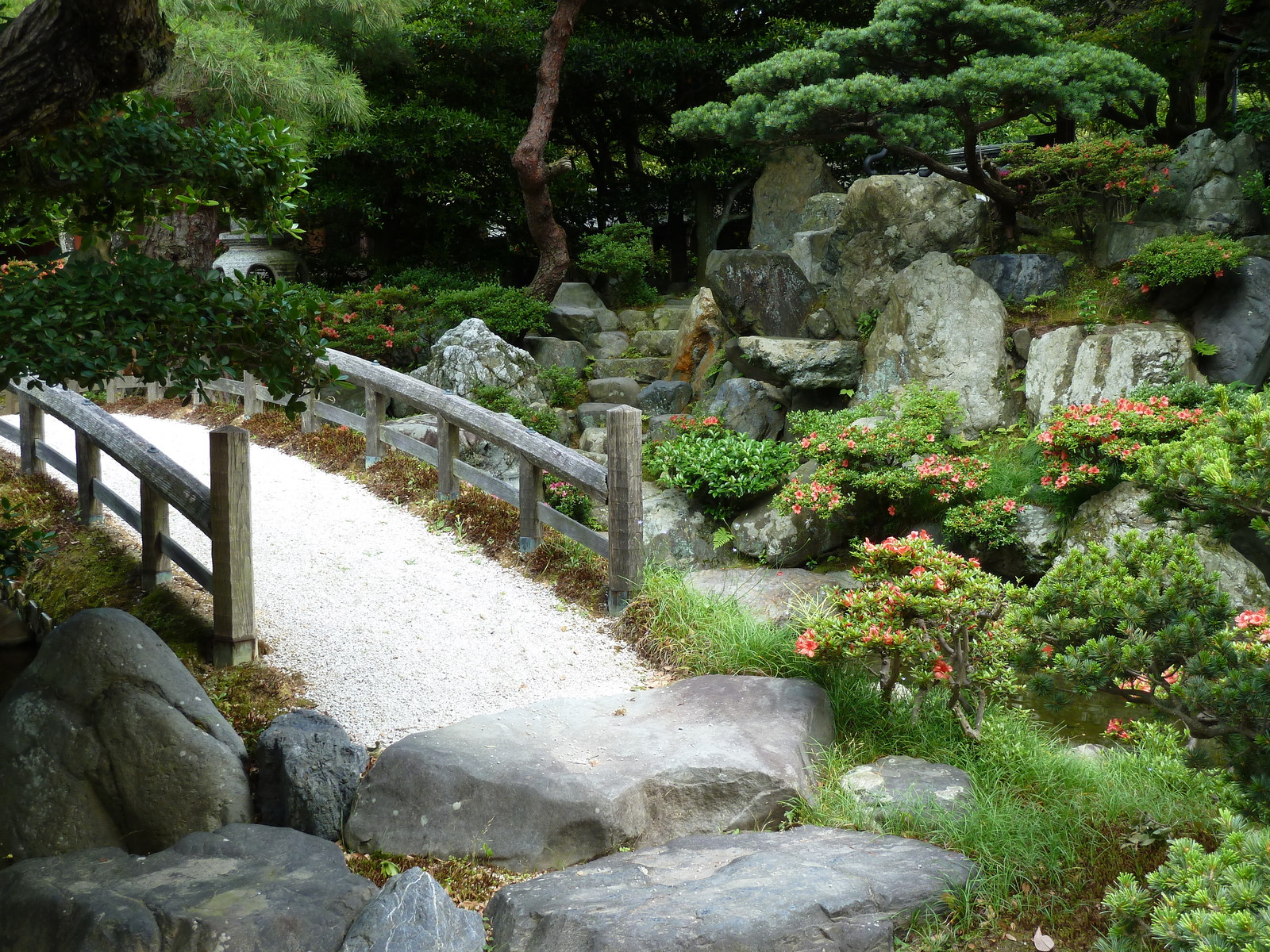 รูปถ่าย ญี่ปุ่น(Japan) เกียวโต(Kyoto) พระราชวังหลวงเกียวโต(Kyoto Imperial Palace) 2010-06 93