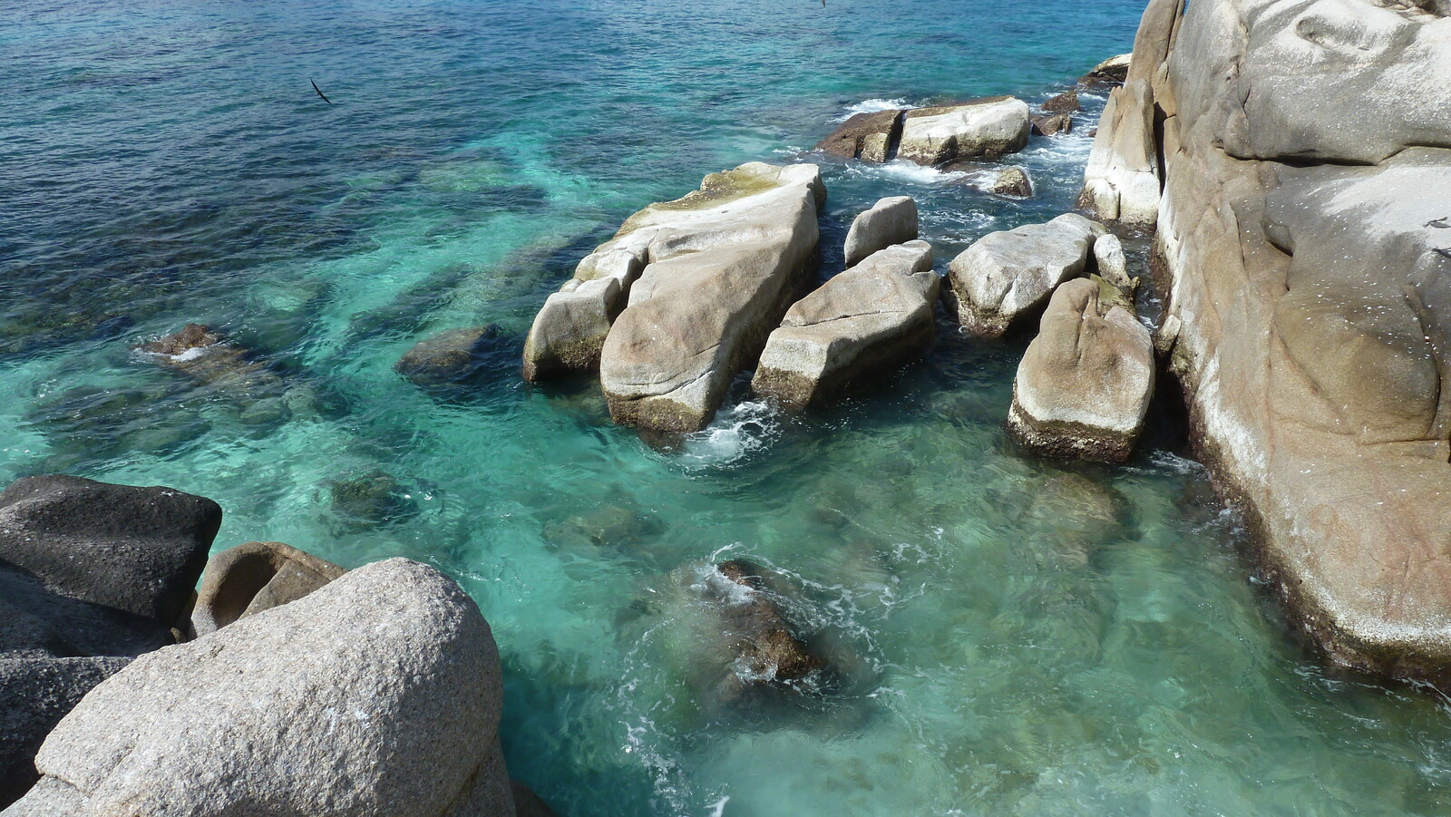 รูปถ่าย เซเชลส์(Seychelles) 2011-10 158