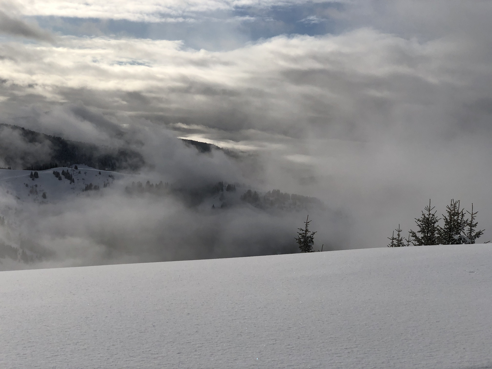 รูปถ่าย ฝรั่งเศส(France) ปรา-ซูร์-อาร์ลี(Praz sur Arly) 2019-12 477