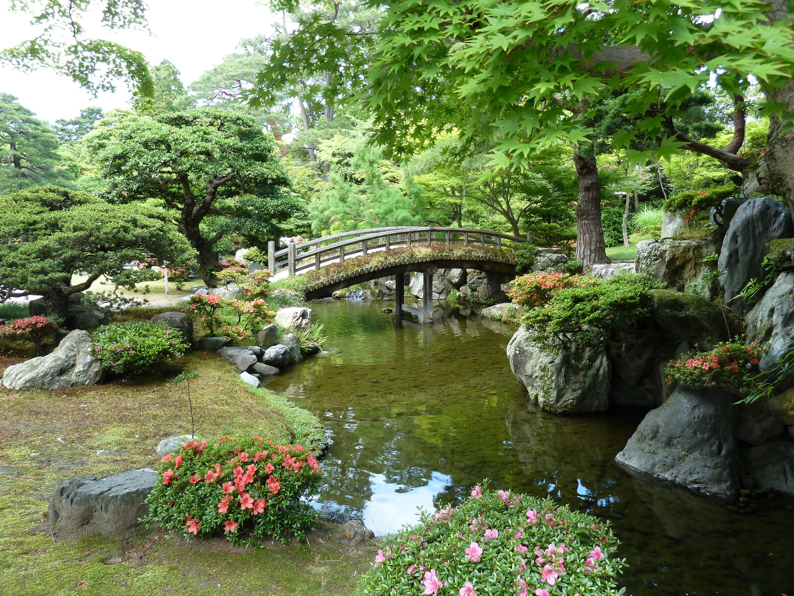 รูปถ่าย ญี่ปุ่น(Japan) เกียวโต(Kyoto) พระราชวังหลวงเกียวโต(Kyoto Imperial Palace) 2010-06 57