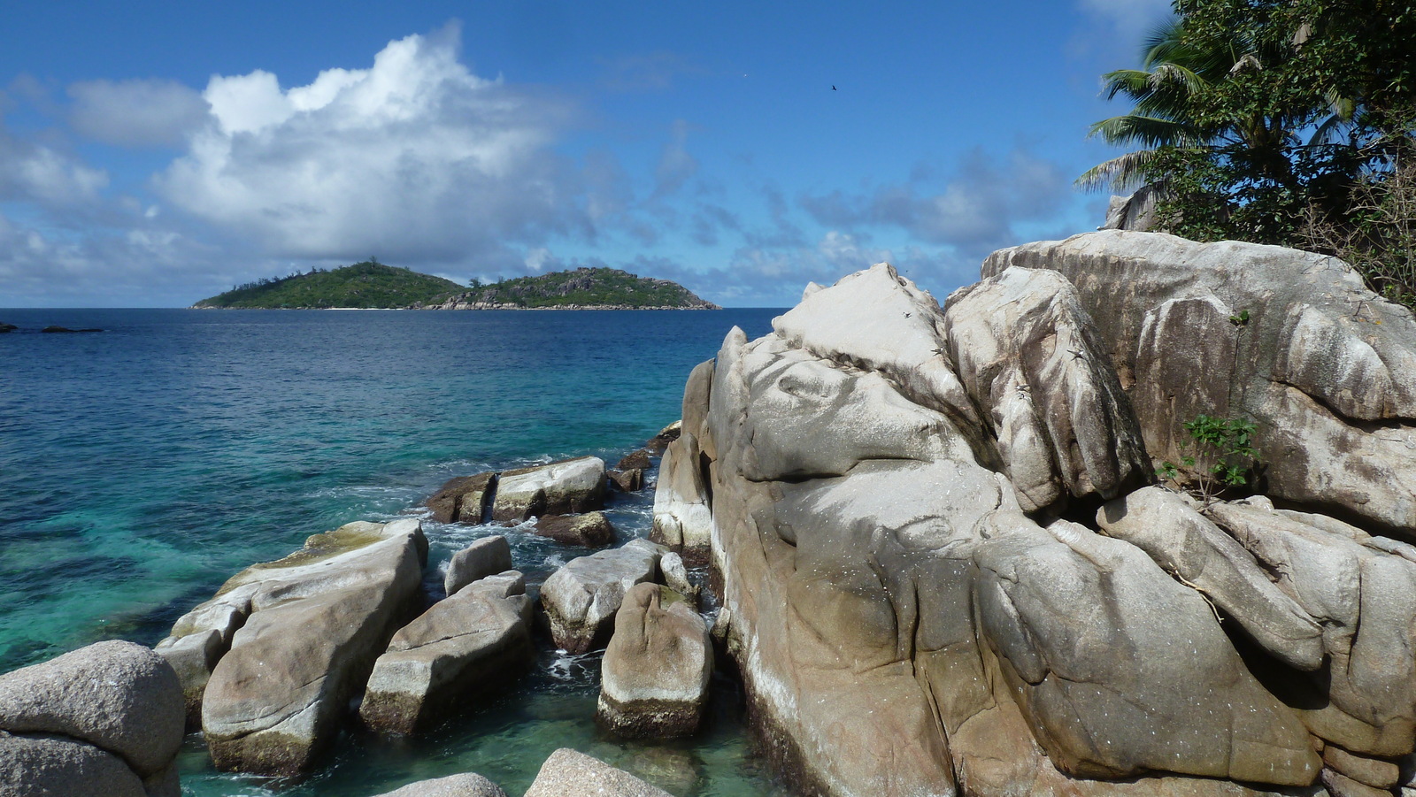 รูปถ่าย เซเชลส์(Seychelles) เกาะโกโก้(Coco Island) 2011-10 68