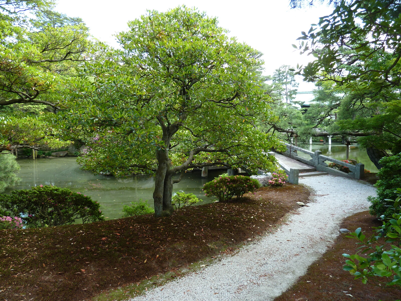 รูปถ่าย ญี่ปุ่น(Japan) เกียวโต(Kyoto) พระราชวังหลวงเกียวโต(Kyoto Imperial Palace) 2010-06 31