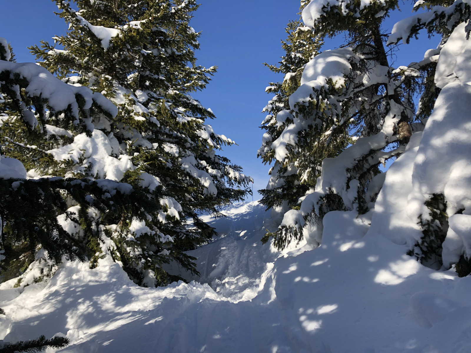 รูปถ่าย ฝรั่งเศส(France) ปรา-ซูร์-อาร์ลี(Praz sur Arly) 2019-12 189