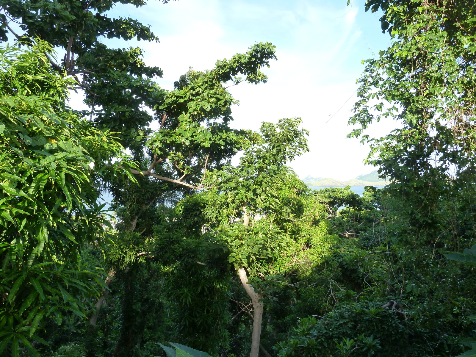 รูปถ่าย ฟิจิ(Fiji) รีสอร์ตเกาะอามูนูกา(Amunuca Island Resort) 2010-05 117