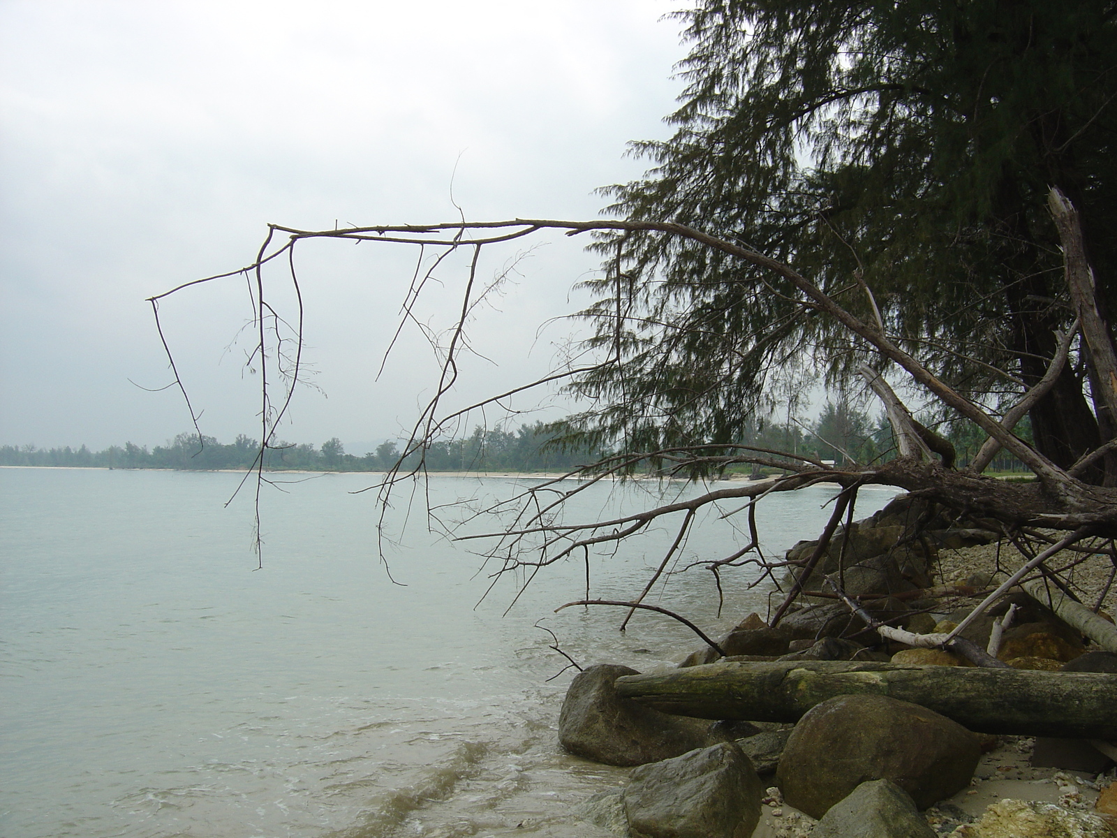 รูปถ่าย ไทย(Thailand) เขาหลัก(Khao Lak) หาดบางสัก(Bang Sak Beach) 2005-12 83