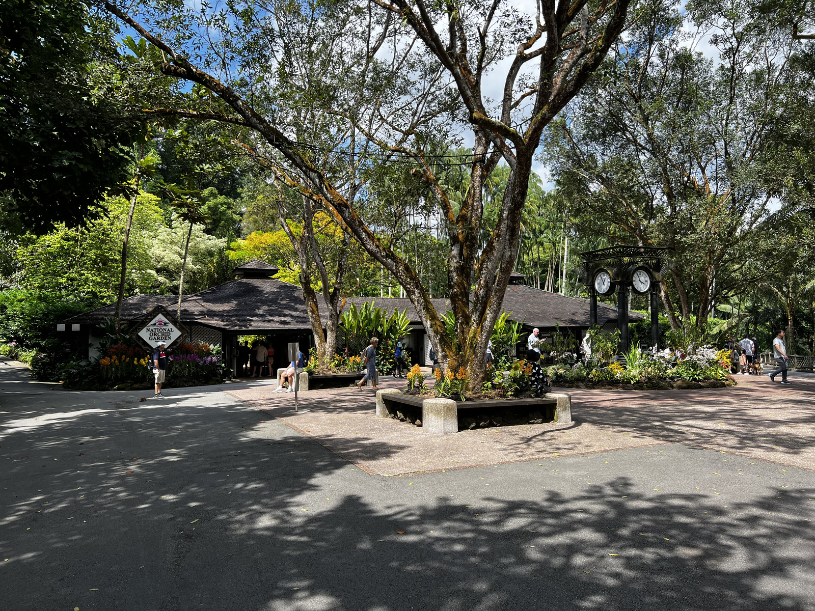รูปถ่าย สิงคโปร์(Singapore) สวนพฤกษศาสตร์สิงคโปร์(Singapore Botanic Gardens) 2023-01 61