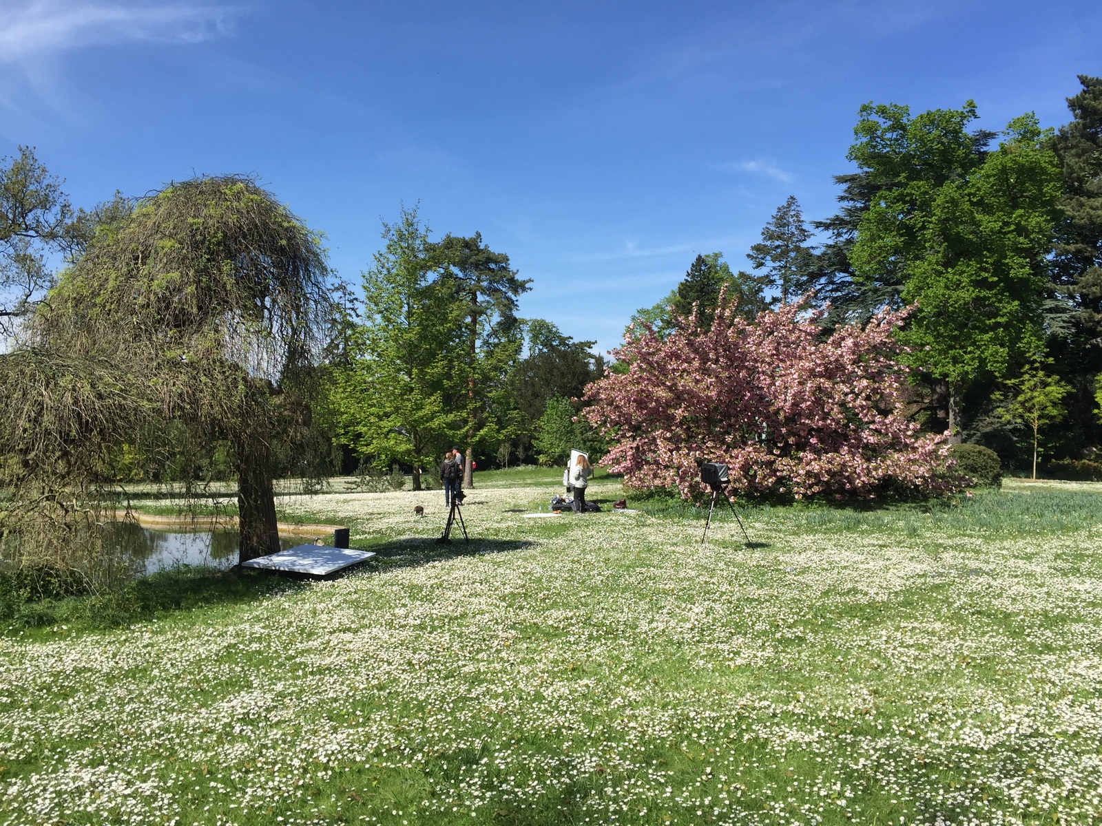 รูปถ่าย ฝรั่งเศส(France) ปารีส(Paris) บากาแตล(Bagatelles) 2017-04 18