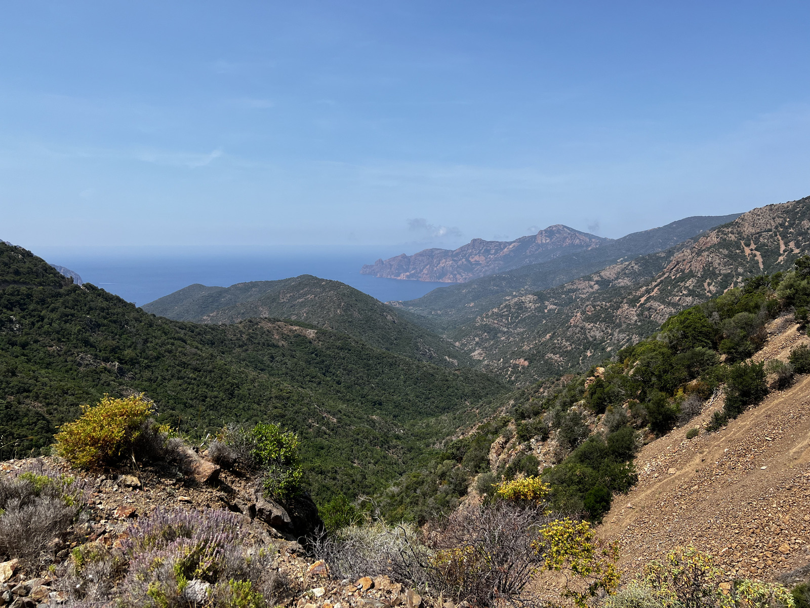 รูปถ่าย ฝรั่งเศส(France) คอร์สิคา(Corsica) โอซานี(Osani) 2023-06 4