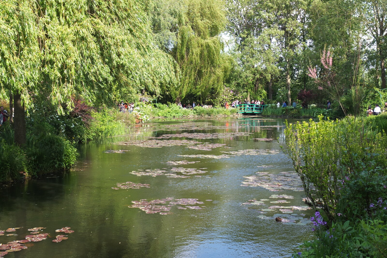 รูปถ่าย ฝรั่งเศส(France) ฌีแวร์นี(Giverny) 2013-06 181