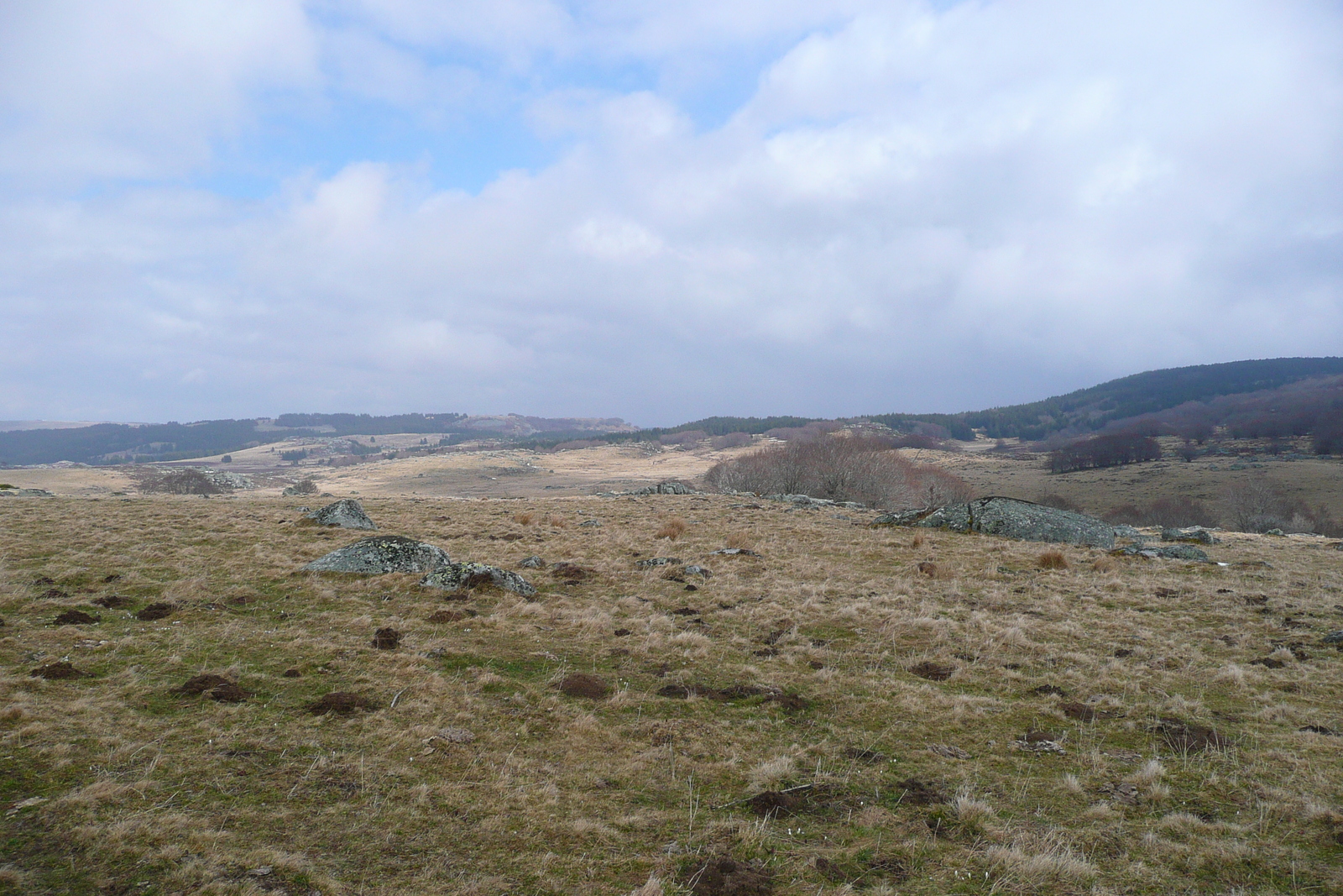 รูปถ่าย ฝรั่งเศส(France) โอบรัก(L'Aubrac) 2008-04 4