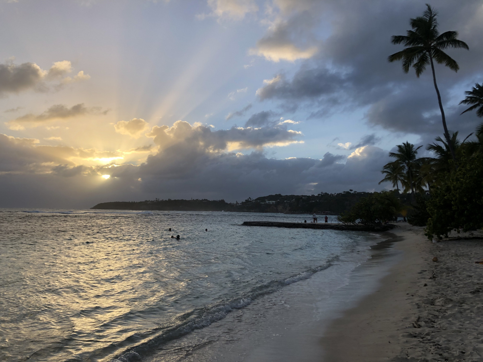 รูปถ่าย กวาเดอลูป(Guadeloupe) แซ็งตาน(Sainte Anne) 2021-02 48