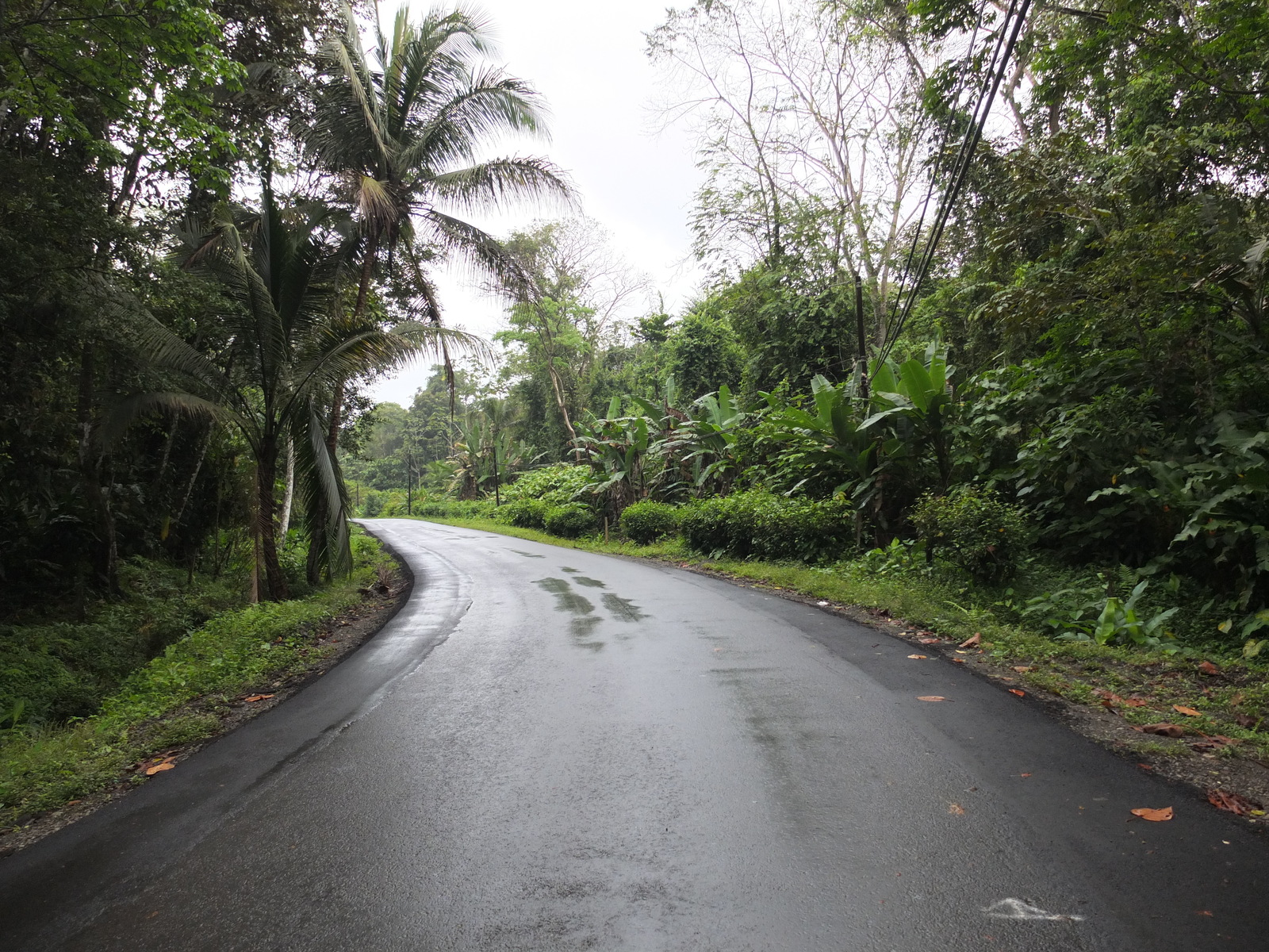 รูปถ่าย คอสตาริกา(Costa Rica) ปวยร์โตเบียโฆเดตาลามังกา(Puerto Viejo de Talamanca) 2015-03 32