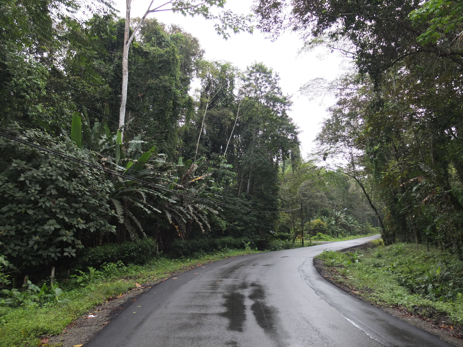รูปถ่าย คอสตาริกา(Costa Rica) ปวยร์โตเบียโฆเดตาลามังกา(Puerto Viejo de Talamanca) 2015-03 37