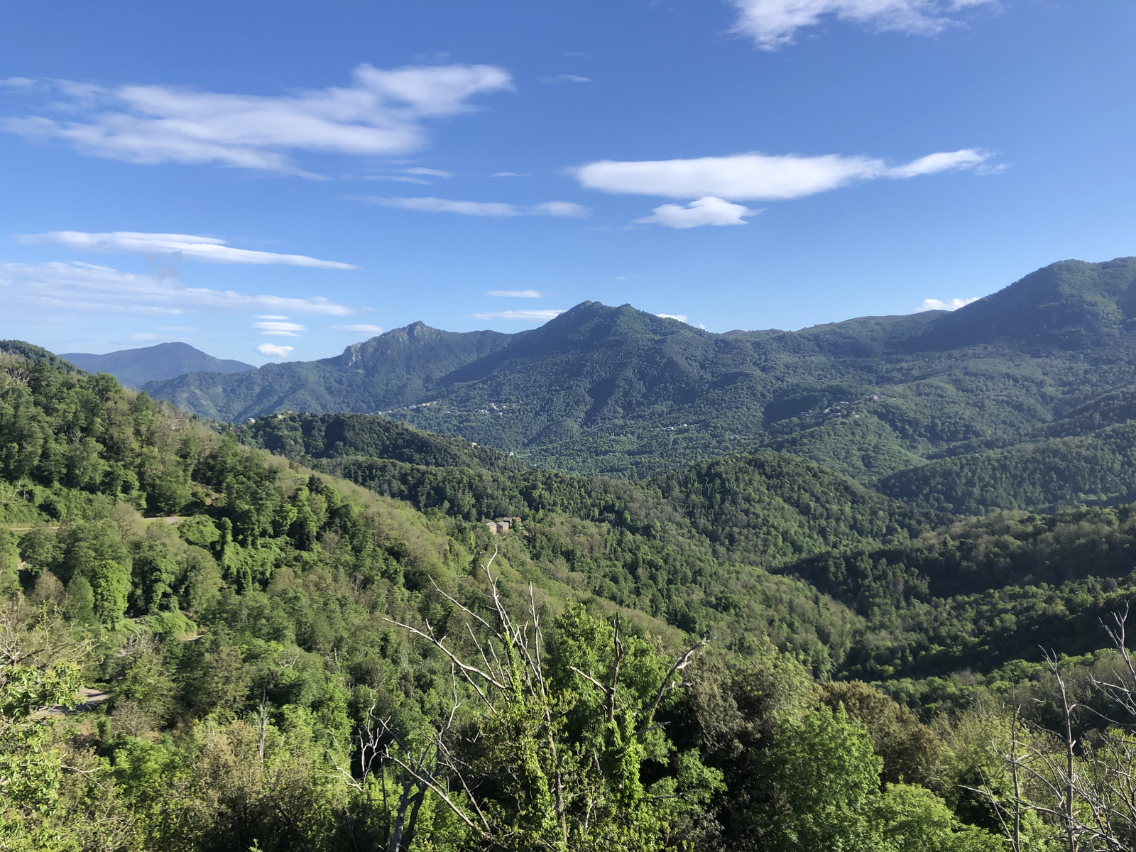รูปถ่าย ฝรั่งเศส(France) คอร์สิคา(Corsica) 2021-05 10