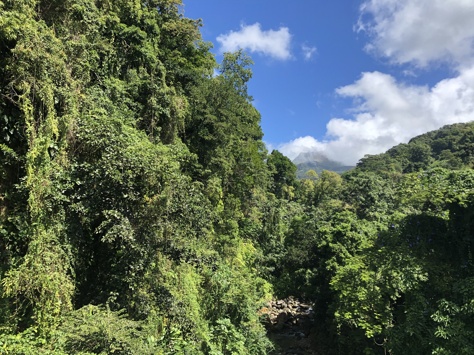 รูปถ่าย กวาเดอลูป(Guadeloupe) ภูเขาไฟลากร็องด์ซูฟรีแยร์(La Grande Soufriere) 2021-02 43