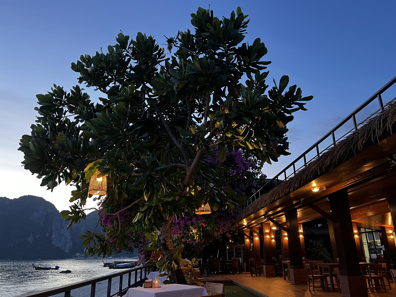 รูปถ่าย ไทย(Thailand) เกาะพีพีดอน(Ko Phi Phi Don) 2021-12 115