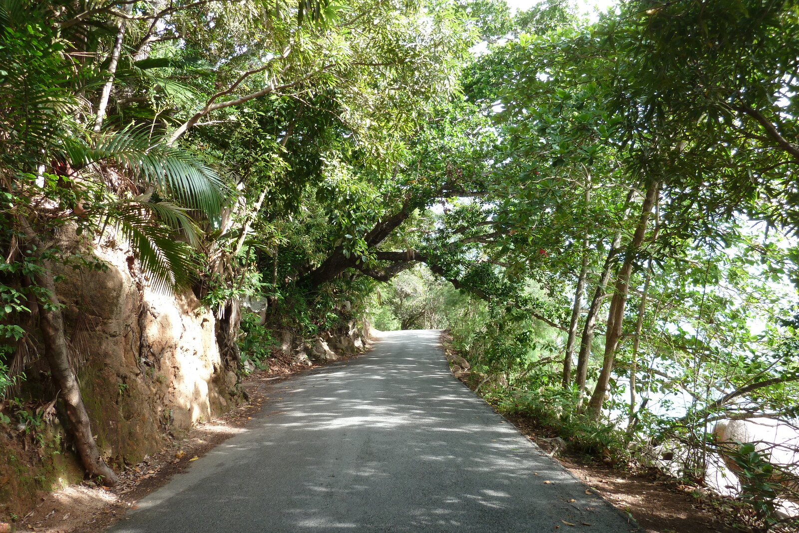 รูปถ่าย เซเชลส์(Seychelles) เกาะปราลิน(Praslin) 2011-10 21