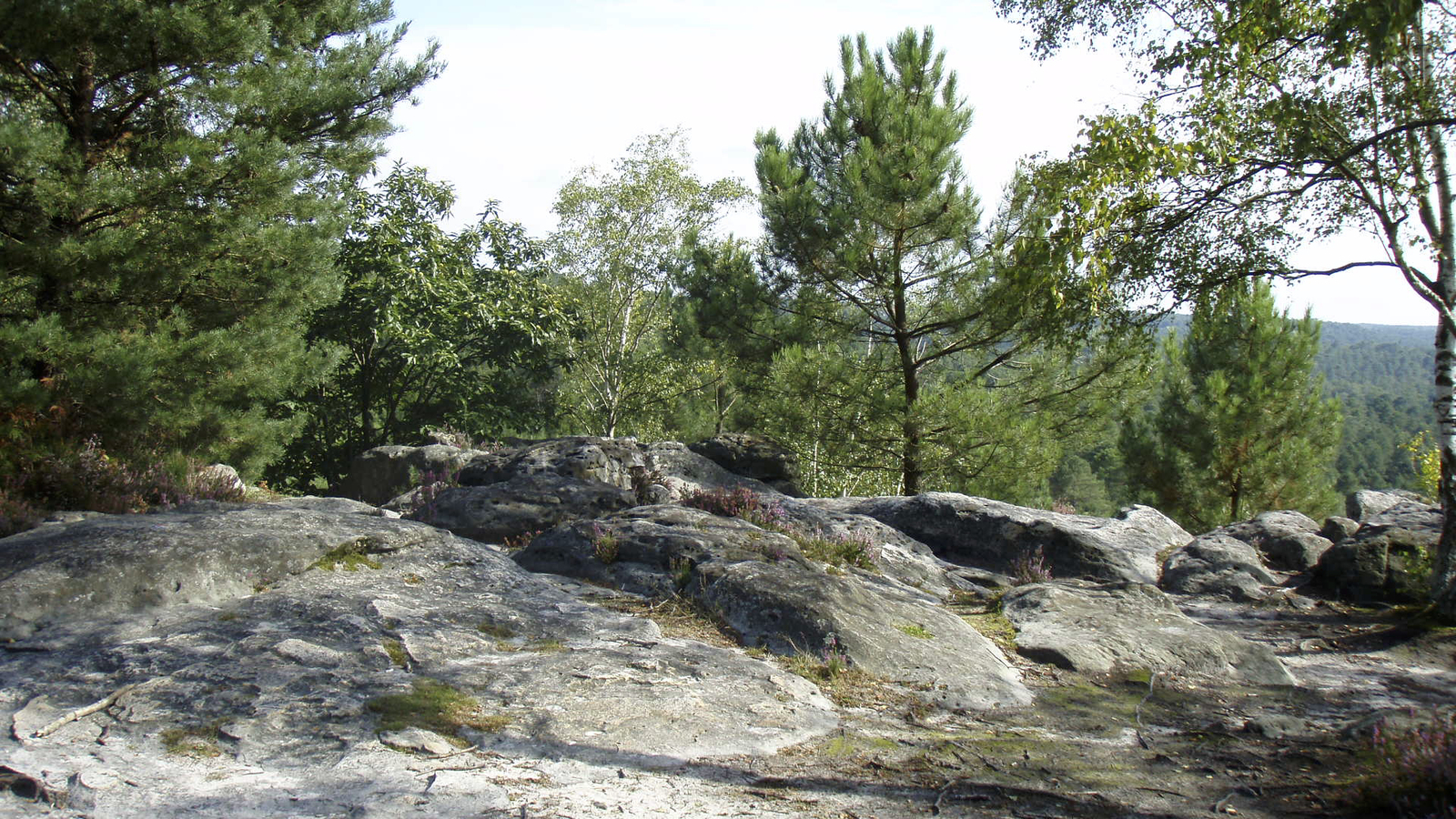 รูปถ่าย ฝรั่งเศส(France) ฟงเทนโบล(Fontainebleau) ทัวร์ป่า(Circuit des 25 bosses) 2007-08 62