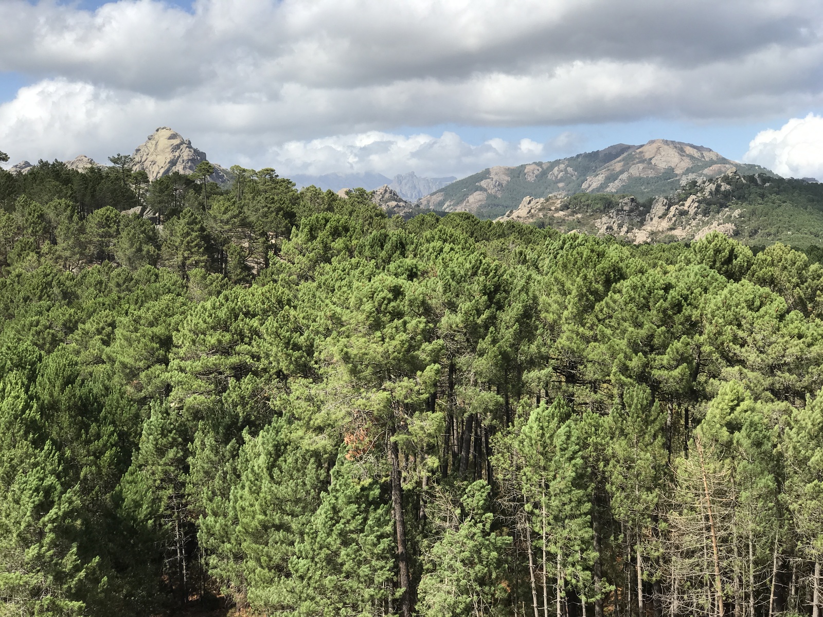 รูปถ่าย ฝรั่งเศส(France) คอร์สิคา(Corsica) ป่าลอสเปดาเล(L'ospedale Forest) 2017-09 8
