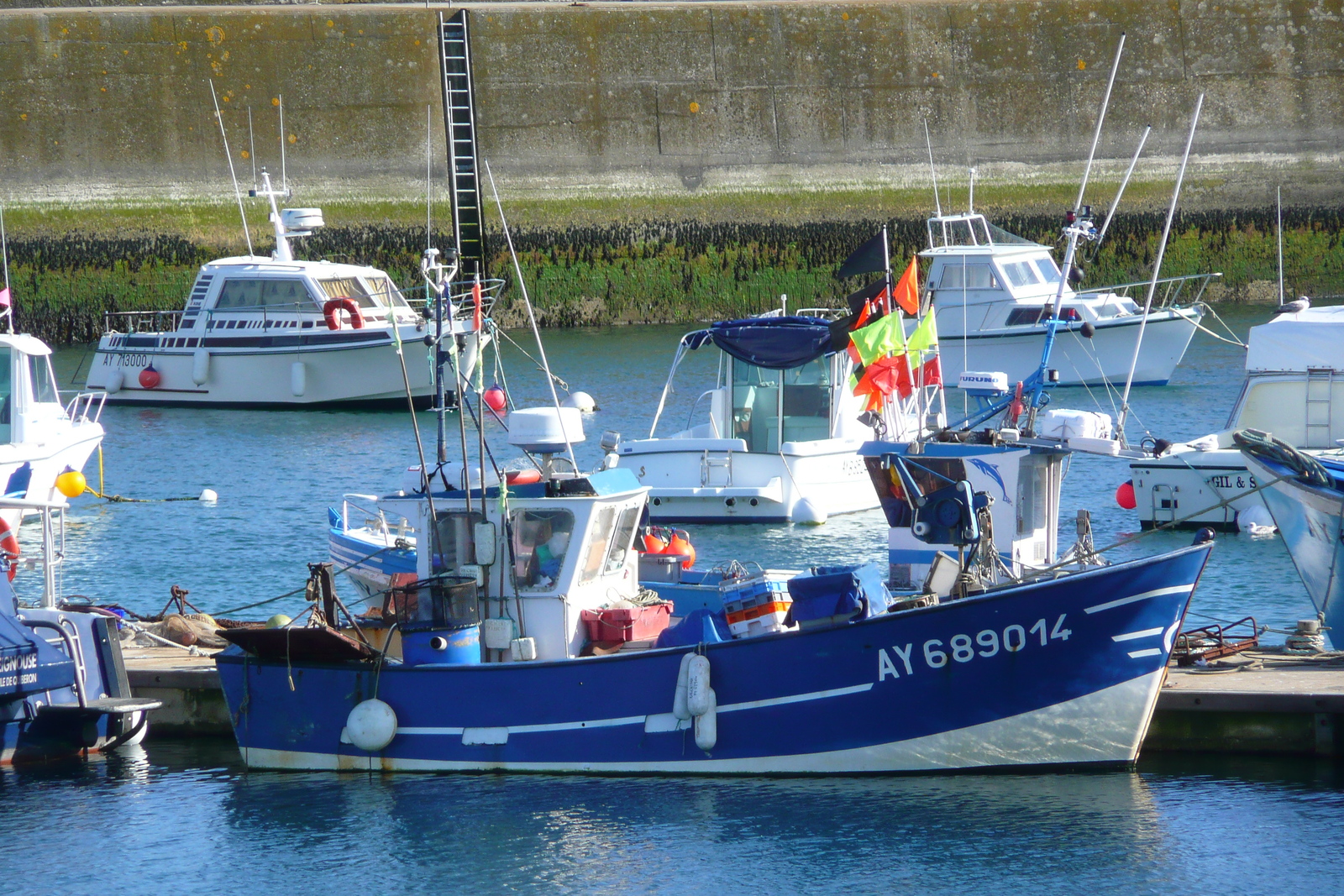 รูปถ่าย ฝรั่งเศส(France) คาบสมุทรกีเบอรง(Quiberon peninsula) กีเบอรง(Quiberon) 2008-07 88