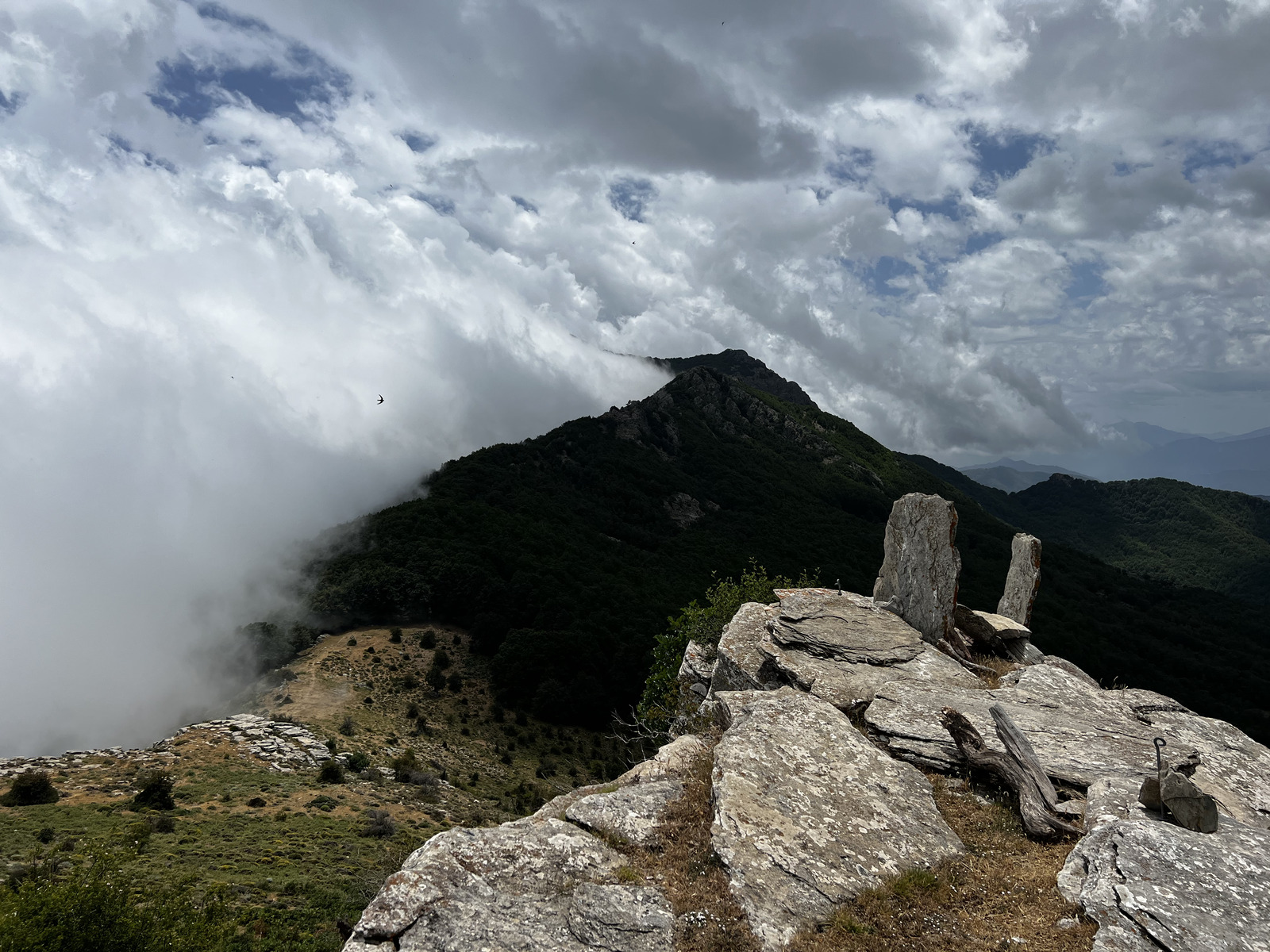 รูปถ่าย ฝรั่งเศส(France) คอร์สิคา(Corsica) ที่พักกัลเลรุชชู(Refuge de Callerucciu) 2022-06 20