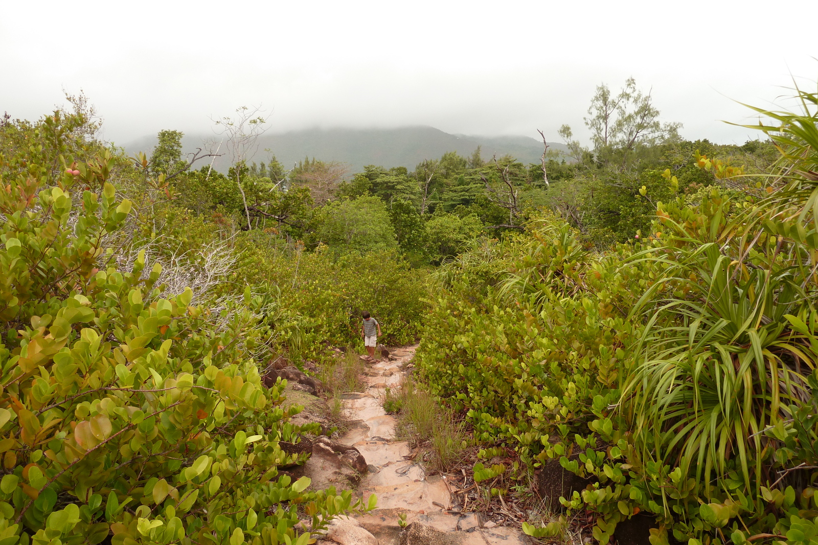 รูปถ่าย เซเชลส์(Seychelles) เกาะกูรีเยิซ(Curieuse) 2011-10 4