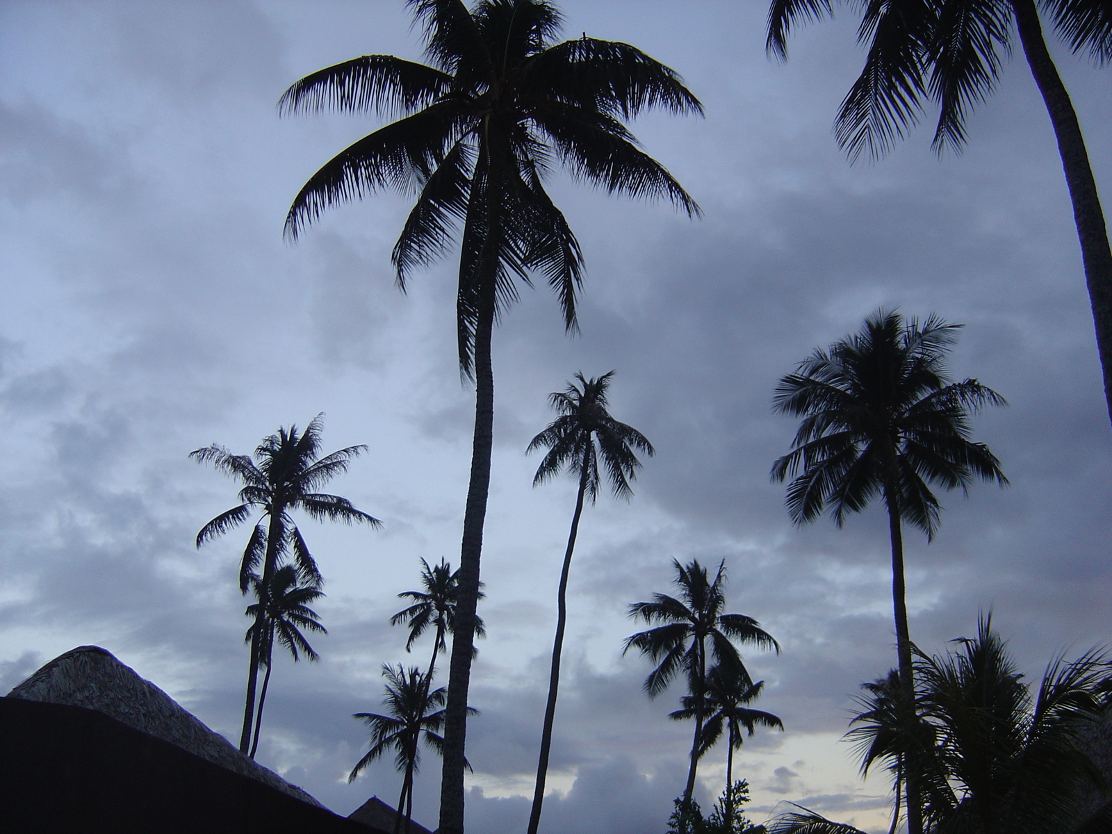 รูปถ่าย เฟรนช์โพลี่นีเซีย(Polynesia) มูเรีย(Moorea) โรงแรมเพิร์ลรีสอร์ต(Pearl Resort Hotel) 2006-04 0