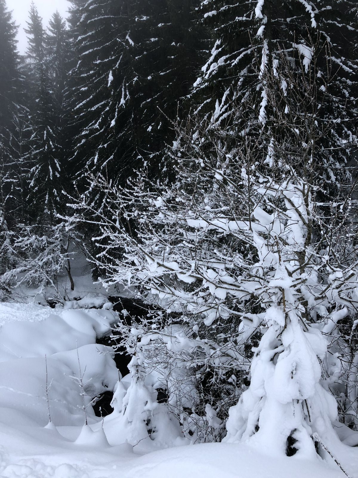 รูปถ่าย ฝรั่งเศส(France) ลากลูซา(La Clusaz) 2017-12 299