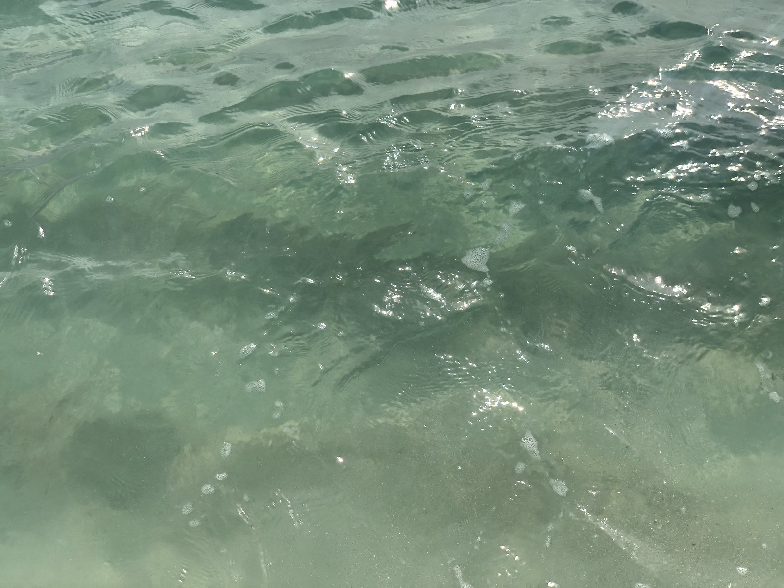 รูปถ่าย กวาเดอลูป(Guadeloupe) หาดลาการาแวล(La Caravelle Beach) 2021-02 95