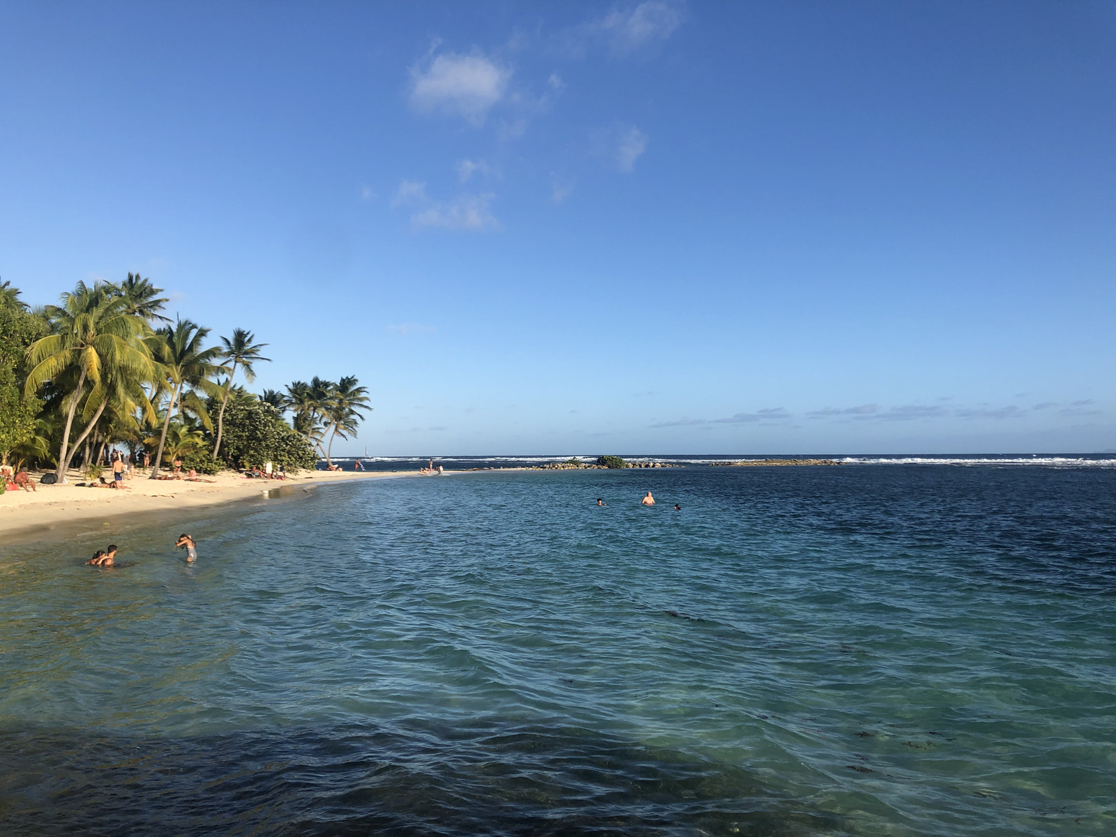 รูปถ่าย กวาเดอลูป(Guadeloupe) หาดลาการาแวล(La Caravelle Beach) 2021-02 140